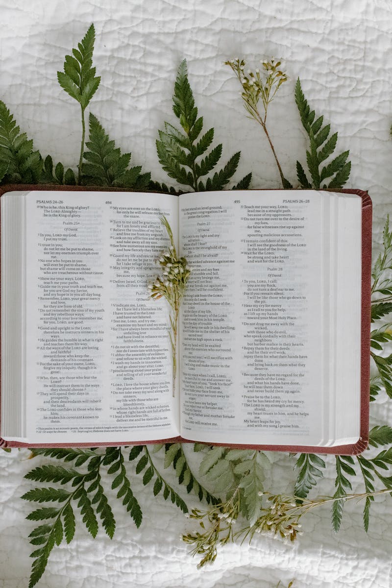 An open Bible displayed on a bedspread surrounded by fern leaves, symbolizing faith and nature.